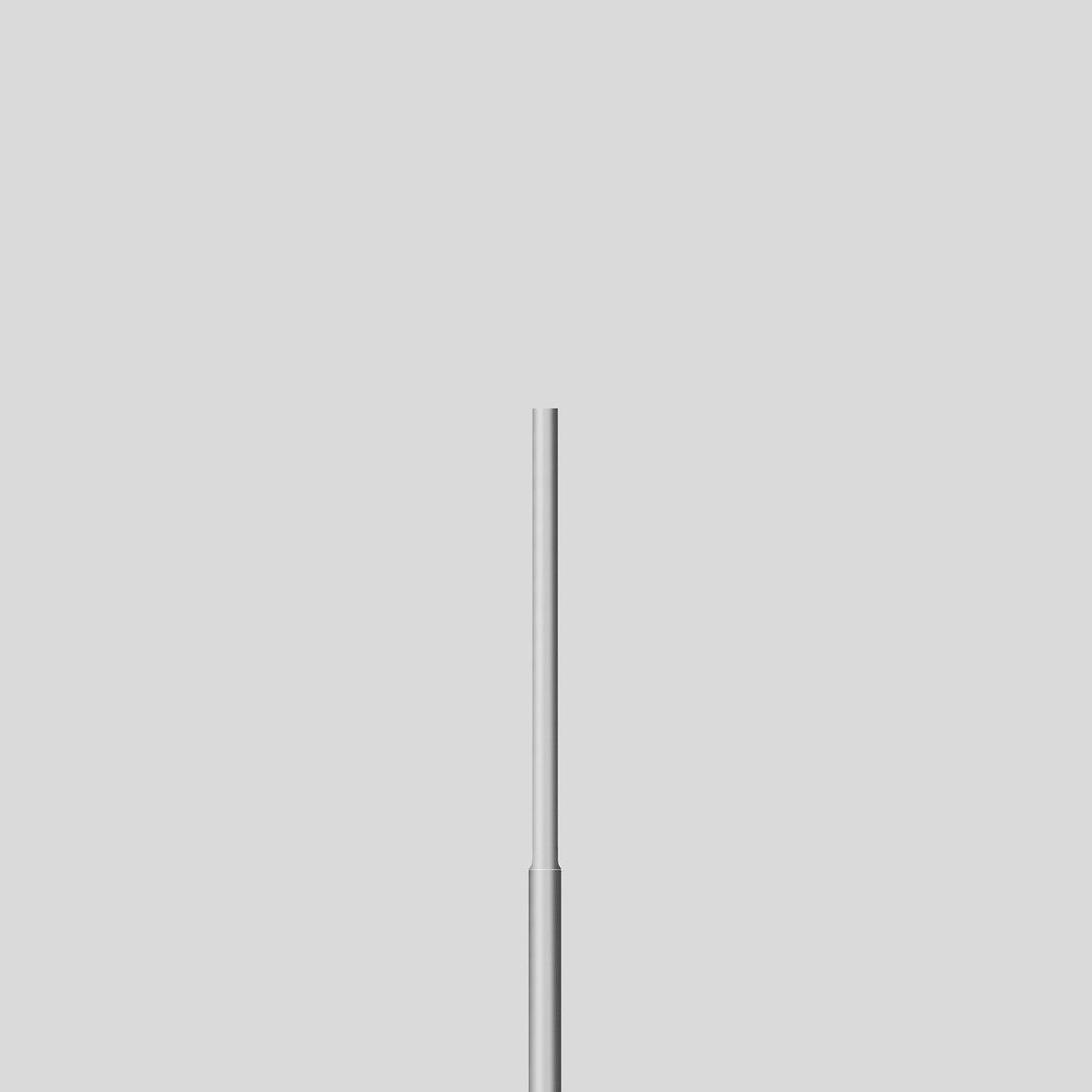 Lichtmast