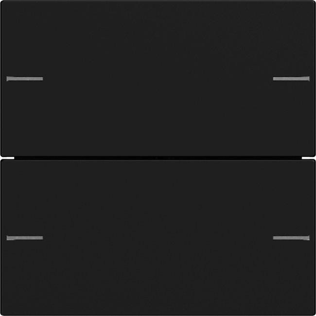 Wippenset 2-fach für Tastsensor 4 System 55 Schwarz matt