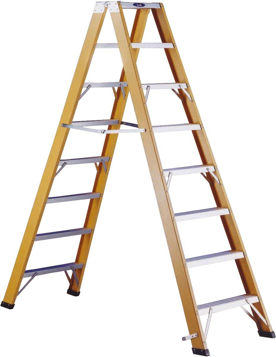 Stufen-Stehleiter mit 2x10 Stufen