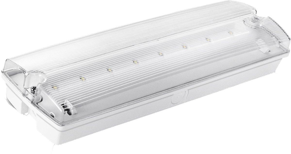 LED Notleuchte 4W 230VAC 150lm 180° IP65 SKII IK02 weiß +5 Pikto