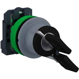 Schlüsselschalter Harmony XB5F hellgrau schwarz 2 Stellungen 30mm Ronis 455 1S