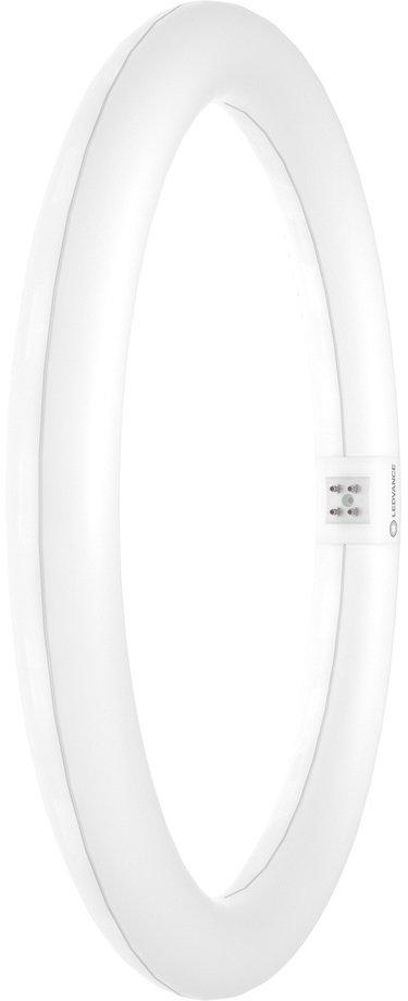 LED Röhre ringförmig LED TUBE T9 EM (KVG) Value 18,3W 865 G10Q 32W-Ersatz