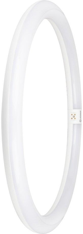 LED Röhre ringförmig LED TUBE T9 EM (KVG) Value 24W 865 G10Q 40W-Ersatz