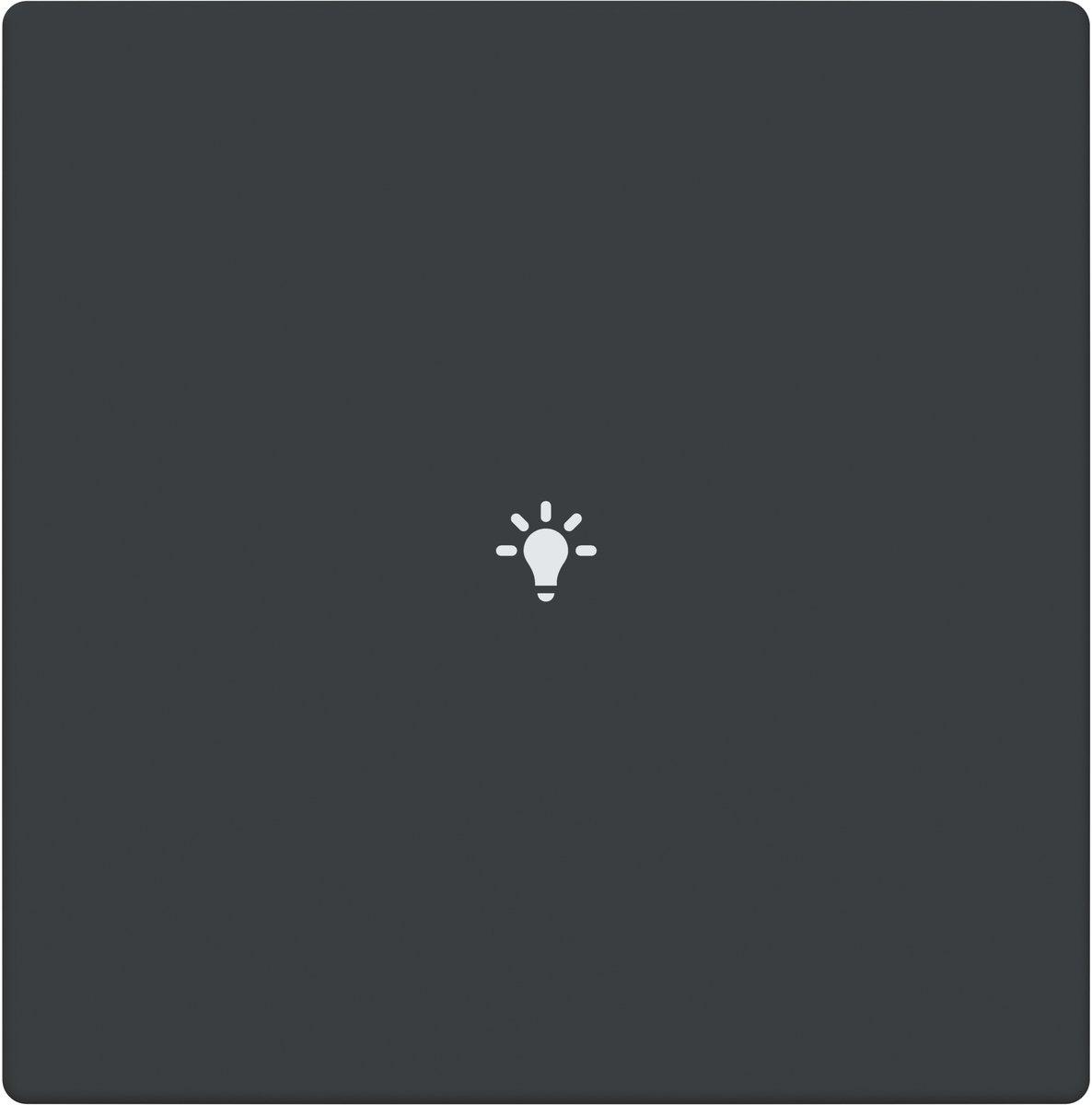 Abdeckung 1-fach für Trevion Keypad / Symbol Licht anthrazit - Plattform 63