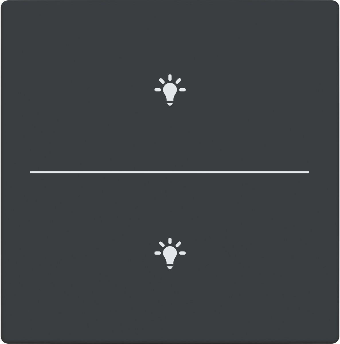 Abdeckung 2-fach für Trevion Keypad / Symbol Licht anthrazit - Plattform 63
