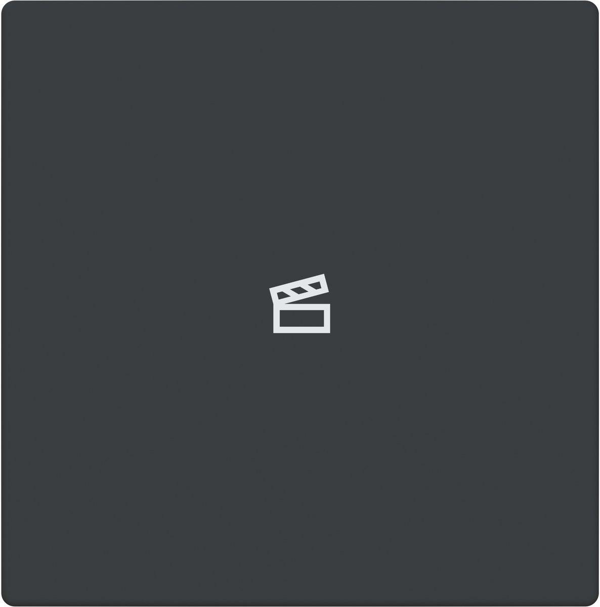 Abdeckung 1-fach für Trevion Keypad / Symbol Szene anthrazit - Plattform 63