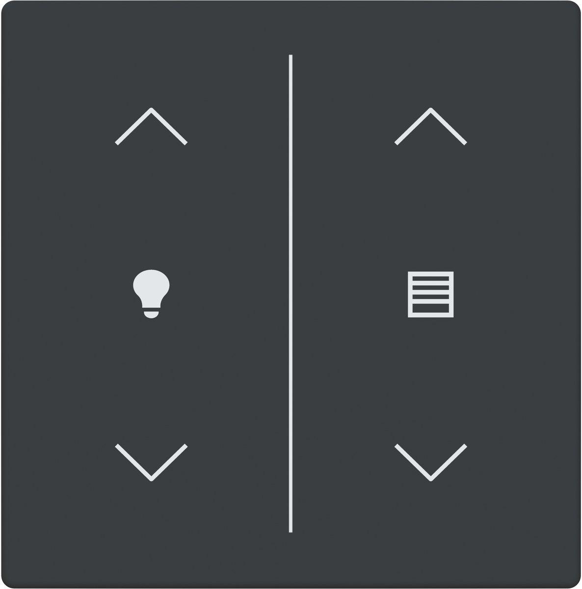 Abdeckung 2-fach Trevion Keypad/Symbol Dimmen/Jalousie anthrazit Plattform 63