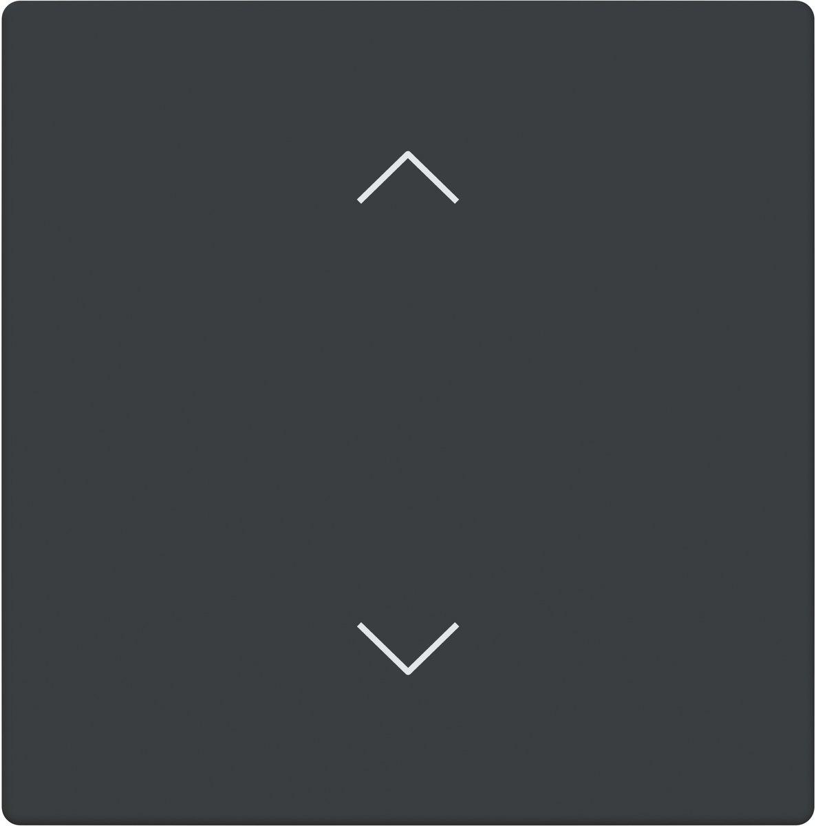 Abdeckung 1-fach für Trevion Keypad / Symbol Pfeile anthrazit - Plattform 63