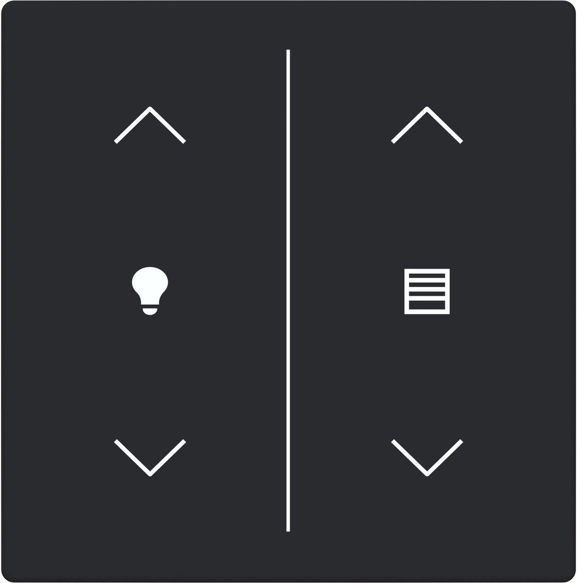 Abdeckung 2-fach Trevion Keypad/Symbol Dimmen/Jalousie schwarz matt Plattform 63