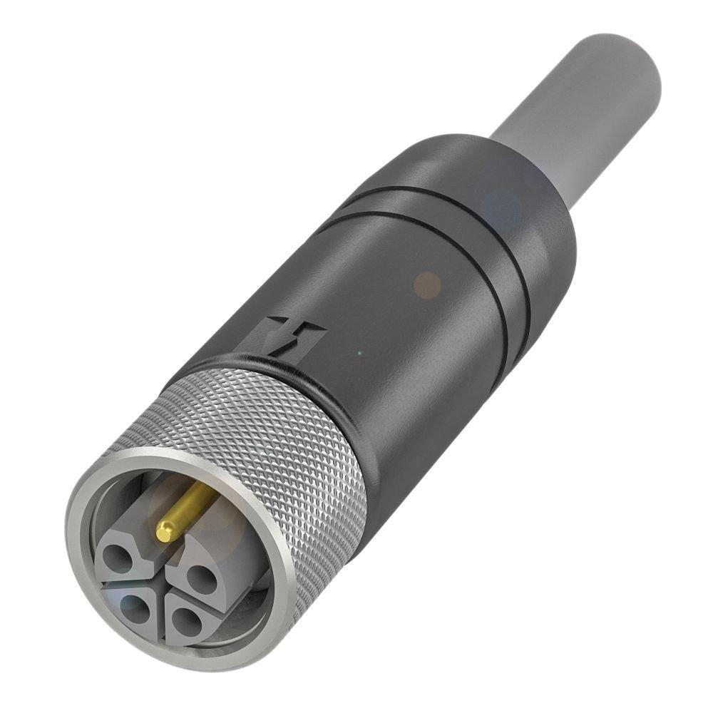 Anschlussleitung BCC0L2P
