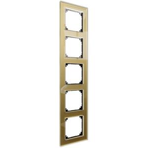 Echtglasrahmen 5fach gold M-Plan