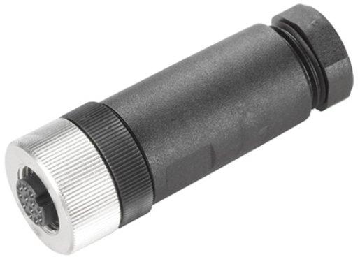 Rundsteckverbinder (feldkonfektionierbar) Buchse gerade Lötanschluss M12 0.14 mm