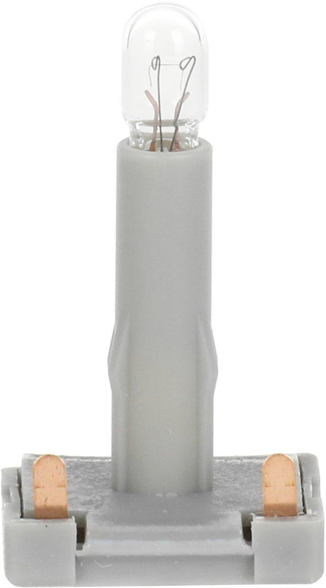 Zubehör Glimm-/Glühlampen Steck-Glühlampe 8 V