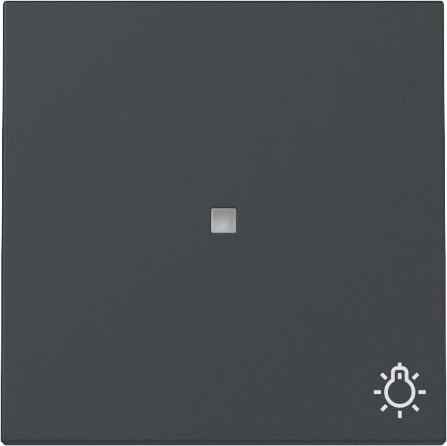 Wippe Kontrollfenster + Symbol Licht System 55 Anthrazit