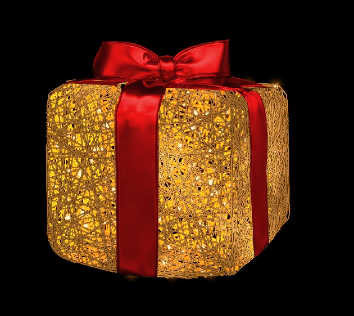 Organic Gift ~40x50x40cm 3D LEDww Organic bg ~7W 230V T-1