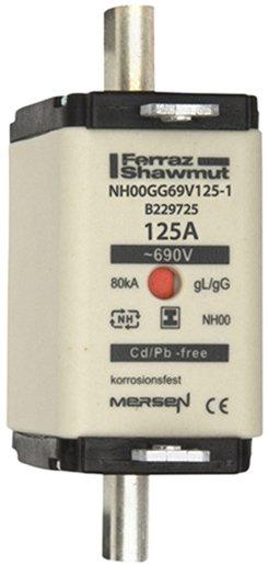 NH-Sicherung gG Gr.00 690VAC/250VDC 100A mit spannungsfreien Grifflaschen