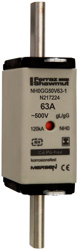 NH-Sicherung gG Gr.0 500VAC/250VDC 100A mit spannungsfreien Grifflaschen