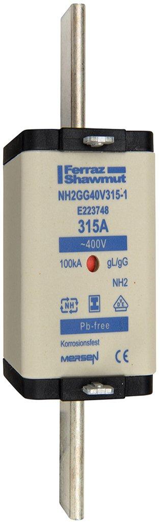 NH-Sicherung gG Gr.2 400VAC 355A mit spannungsfreien Grifflaschen