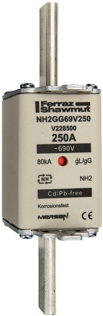NH-Sicherung gG Gr.2 690VAC/250VDC 315A mit spannungsführenden Grifflaschen