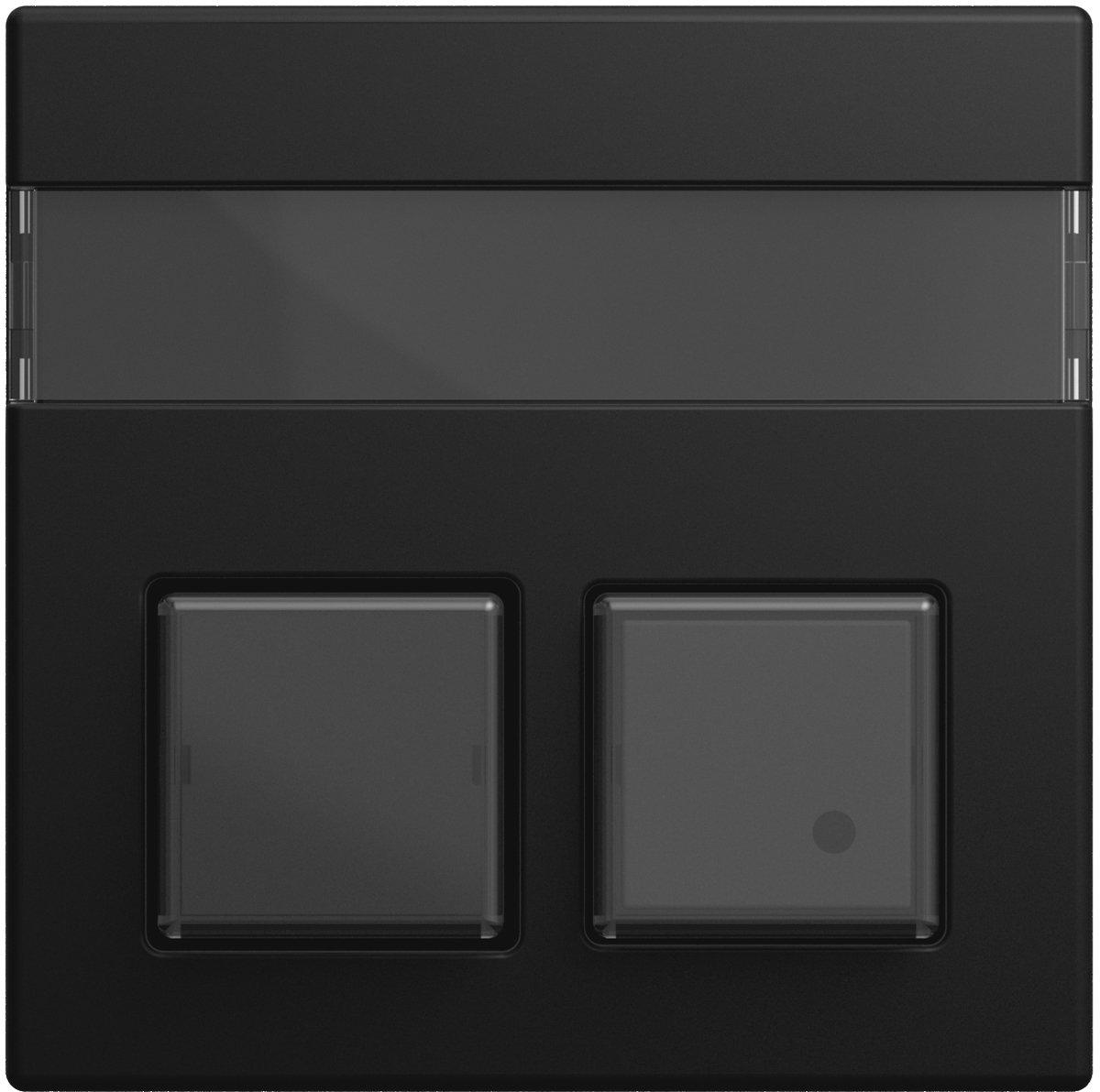 Zentralscheibe 2-fach Beschriftungsfeld Busch-Infoline klar schw matt balance SI