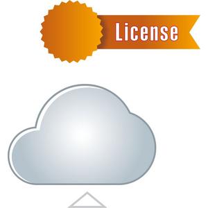 DS Lizenz  SYNC pro Jahr SW*