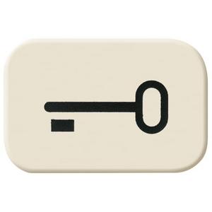 Tastersymbol mit Symbol Schlüssel weiß - Busch-Duro 2000 SI